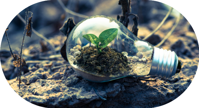 Petite plante poussant dans une ampoule posée sur une terre sèche, symbole d’innovation durable